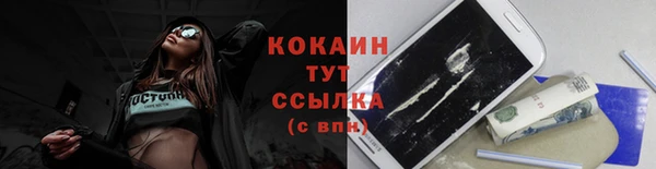 ПСИЛОЦИБИНОВЫЕ ГРИБЫ Остров