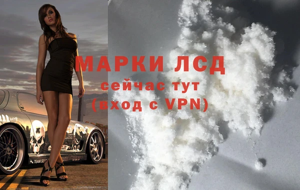 хмурый Осинники